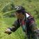 sapa